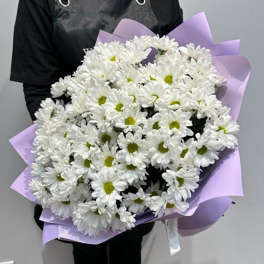 Букет 13 ромашковых хризантем (02010147)