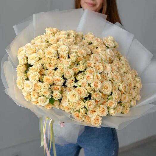 Салинеро куст 51 шт