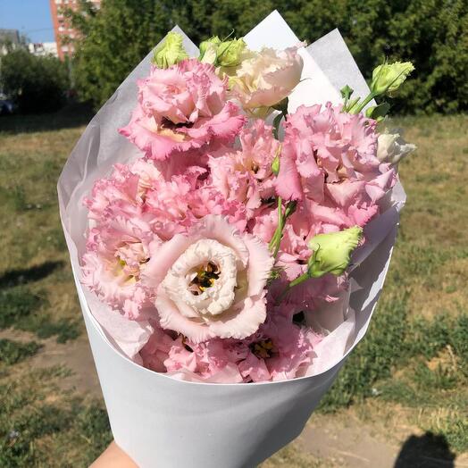 Розовая Эустома
