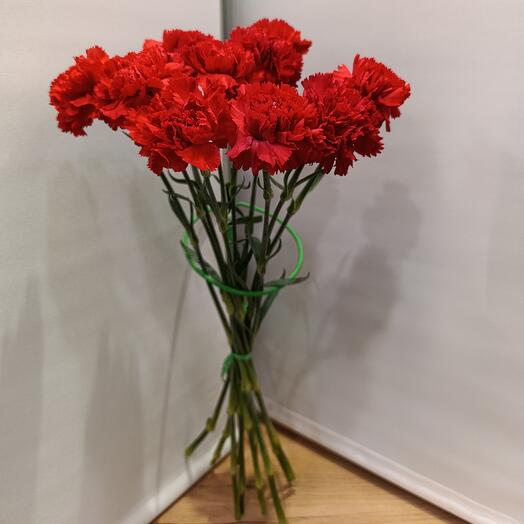 Гвоздика красная Голландия 10 штук