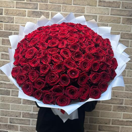 101 роза для любимой💞