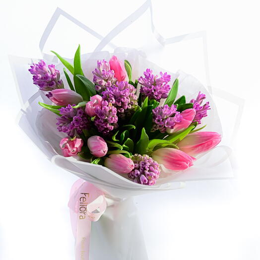 Hyacinthus Tulips Delight (Purple,Pink Compo)