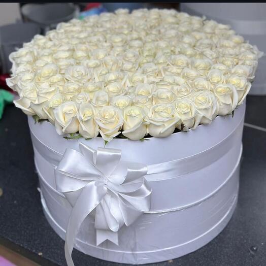 111 white Rose in box