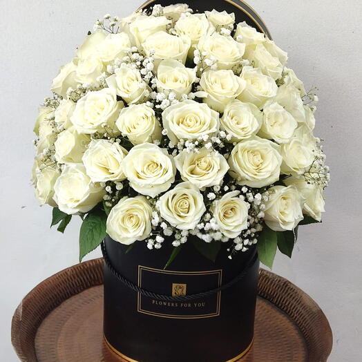 51 white Rose Box