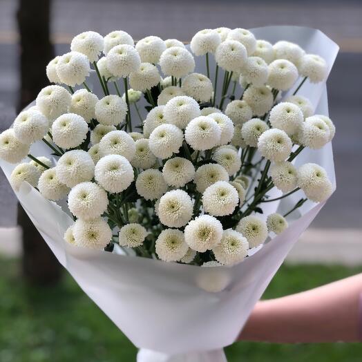 Букет Облачко 155 из 9 Хризантем Ньютон