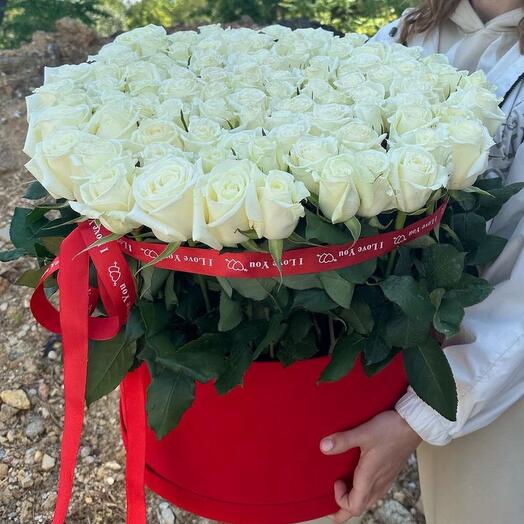 101 white rose in box