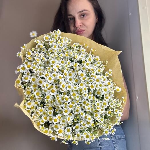Ромашковое поле , ромашки, танацетум