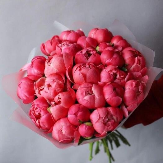 Букет из коралловых пионов 27 шт