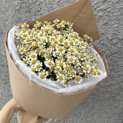 Daisies for your beloved