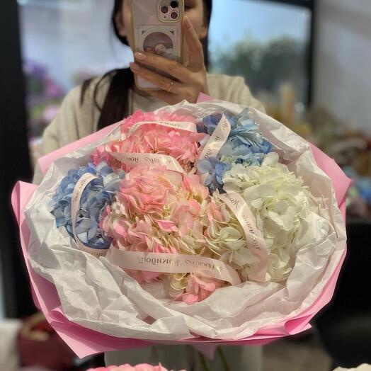 Гортензия моно