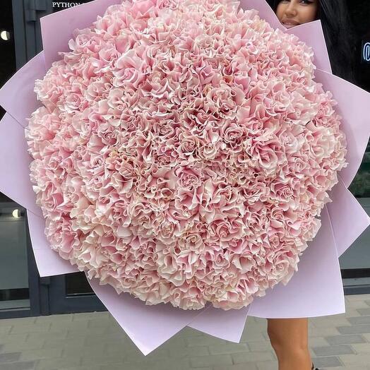 101 французская роза