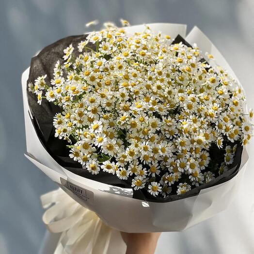 Букет из кустовых ромашек