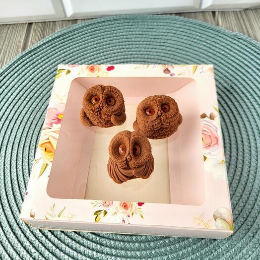 Дубайский шоколад "Совушки" FW010