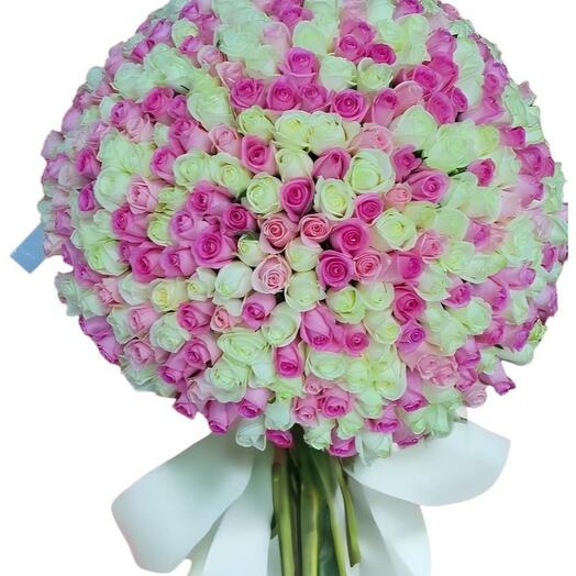 301 roses