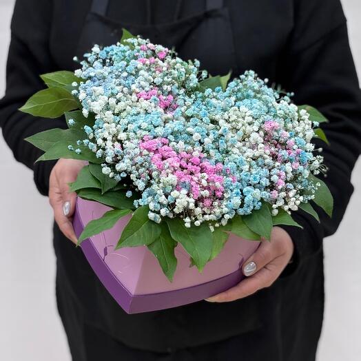 Цветы в коробке гипсофила