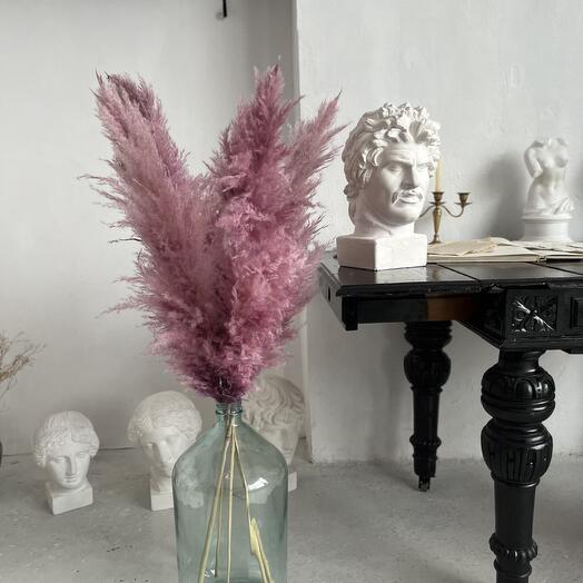 Розовая пампасная трава