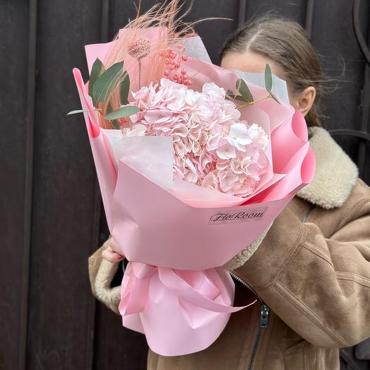 Gentle hydrangea