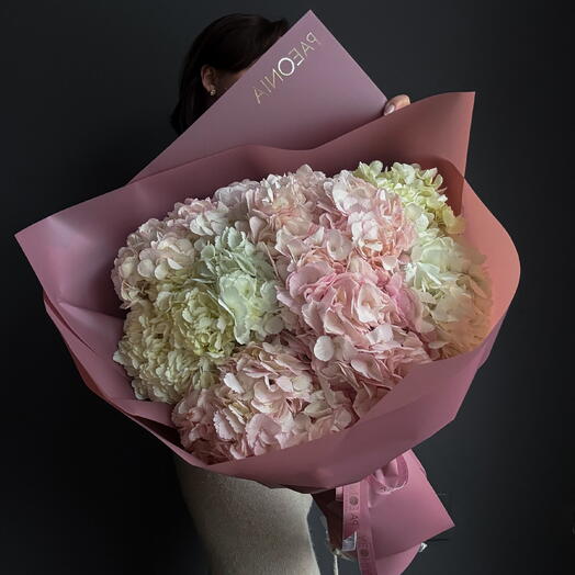 MD 13 Hydrangea Mix