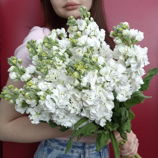 15 белых маттиол