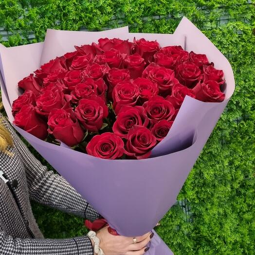 Северное сияние