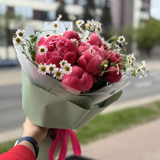 Пиономания 309
