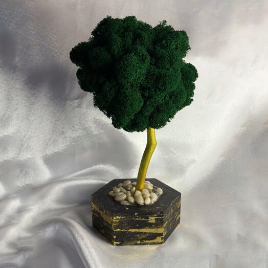 Золотое дерево со мхом