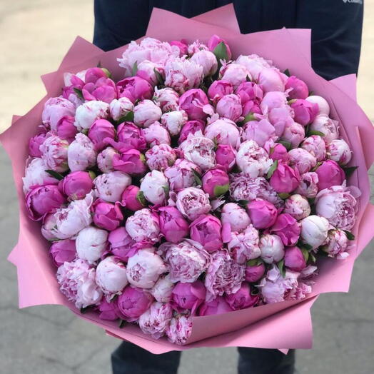 101 Shades of Peony