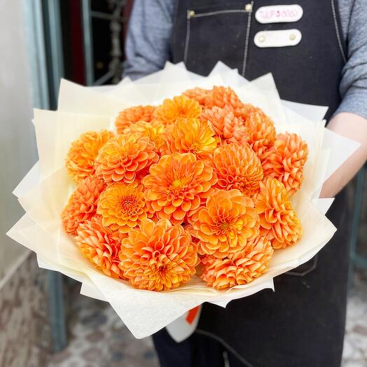 Bouquet of orange dahlias