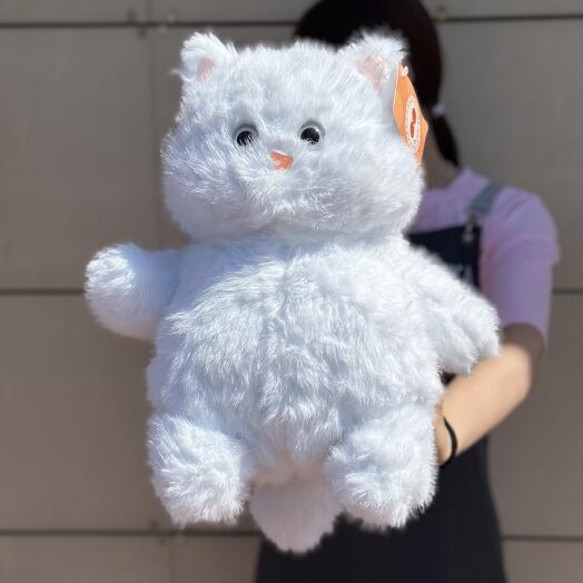 Кот матрос