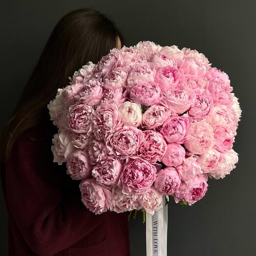 51 peony Sarah Bernhardt