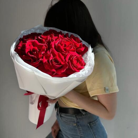 Голландия 9