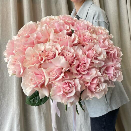 Французские розы Пинк Мондиаль моно 25