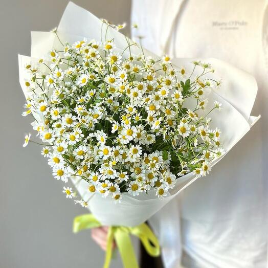 Очаровательный букет ромашек 🌼