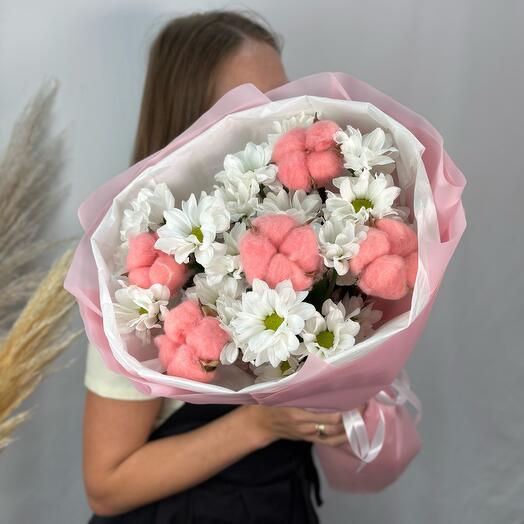 Стойкие ромашковые хризантемы и хлопок