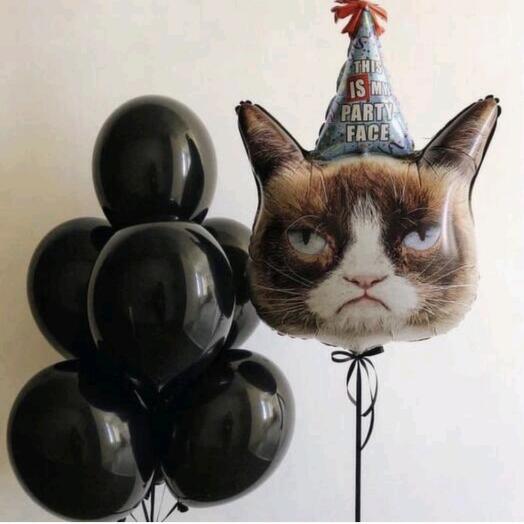 Воздушные шары "Котик и черные шары"