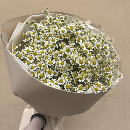 Букет из 9 кустовых ромашек 🌼