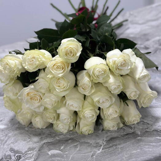 25 white roses