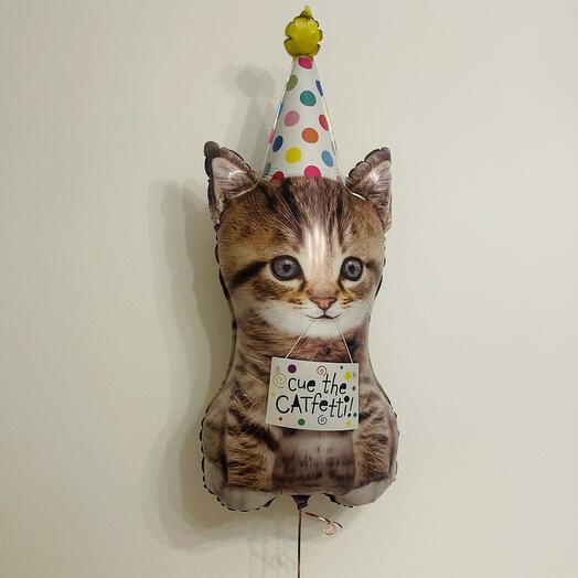 Шар фигура, котенок в колпаке