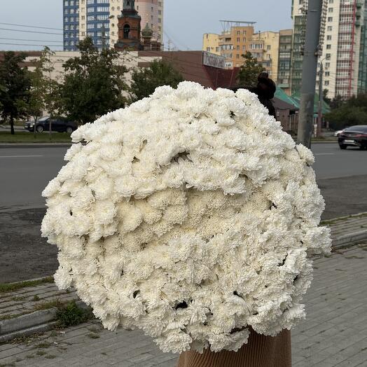 101 Хризантема Облачко Букет белой кустовой хризантемы