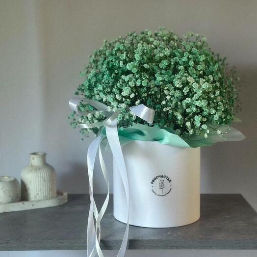 Яркая бирюзовая гипсофила в шляпной коробке