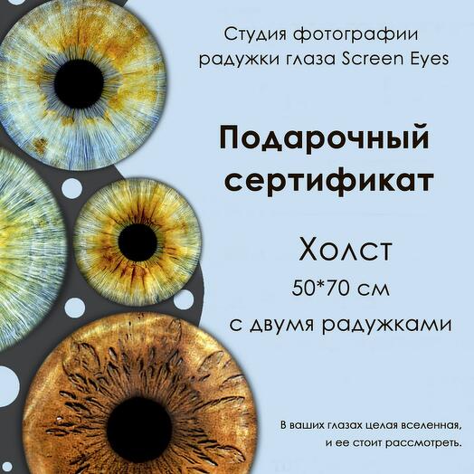 Подарочный электронный на парное фото радужки глаза, холст 50х70