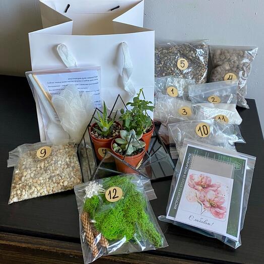 Набор «Собери сам флорариум» подарок на день рождения