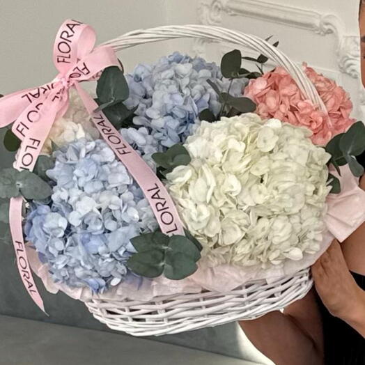 Корзина CLOUD S