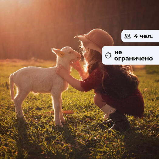 Ближе к природе. Посещение Иркутского зоосада