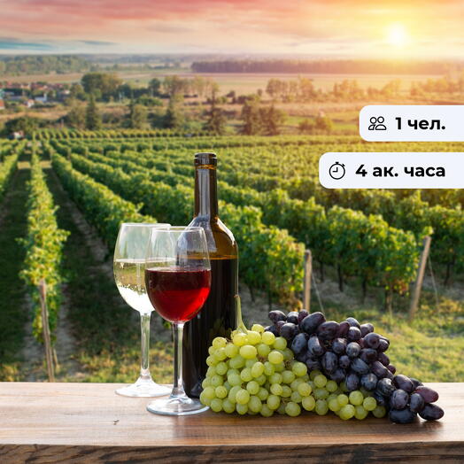 Винное путешествие. Чтение винной этикетки