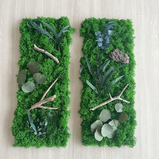Панно из мха подарок на день рождения