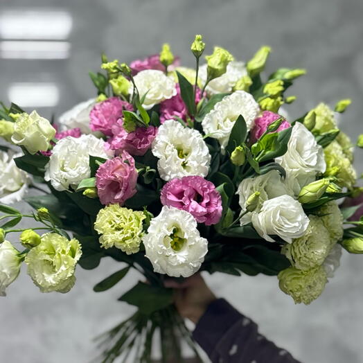 Лизиантусы