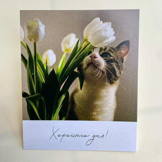 Открытка мини «Хорошего дня»