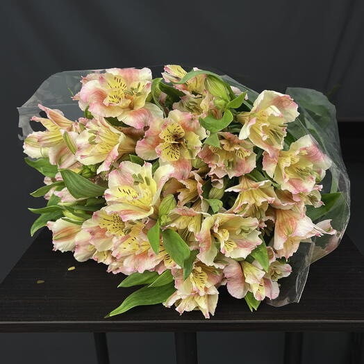 Пачка 10 шт, Альстромерии Шампань, 80 см