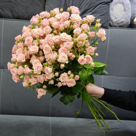 Роза кустовая Лидия 15